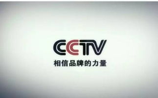 首个中国品牌日,中建四局三位大使有话说
