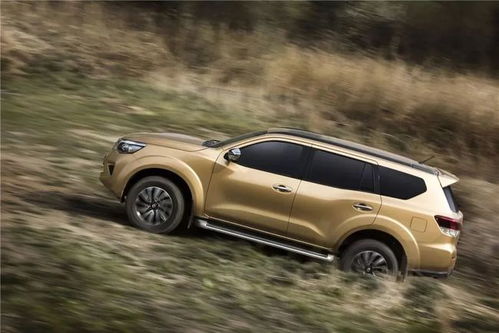 别只关注坦克300 这些车越野也很过瘾