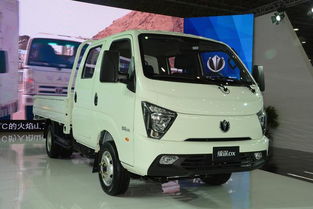 小卡市场百花齐放 齐抢货运最后一公里