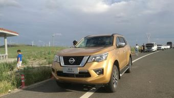 和途达一起跨过山和大海去呼伦贝尔大草原的吉祥三宝 一