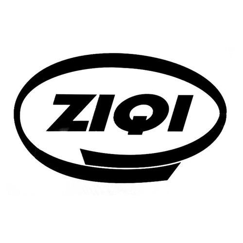 ziqi之祺商标注册全攻略 进度查询与成功率分析