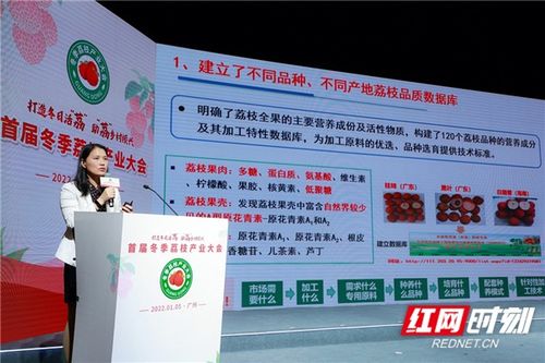 广药集团 荔小吉 18款产品上市 助 荔 乡村振兴